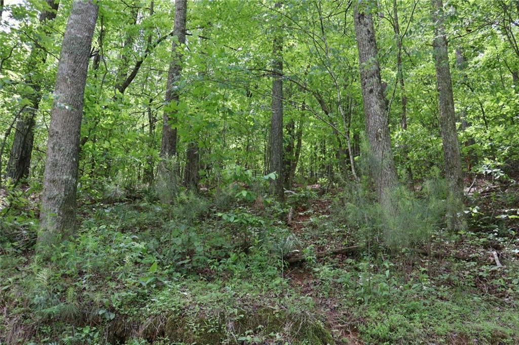 Photo of 0 Parksbrook Road A, Ellijay, GA 30540 (MLS # 7727634)