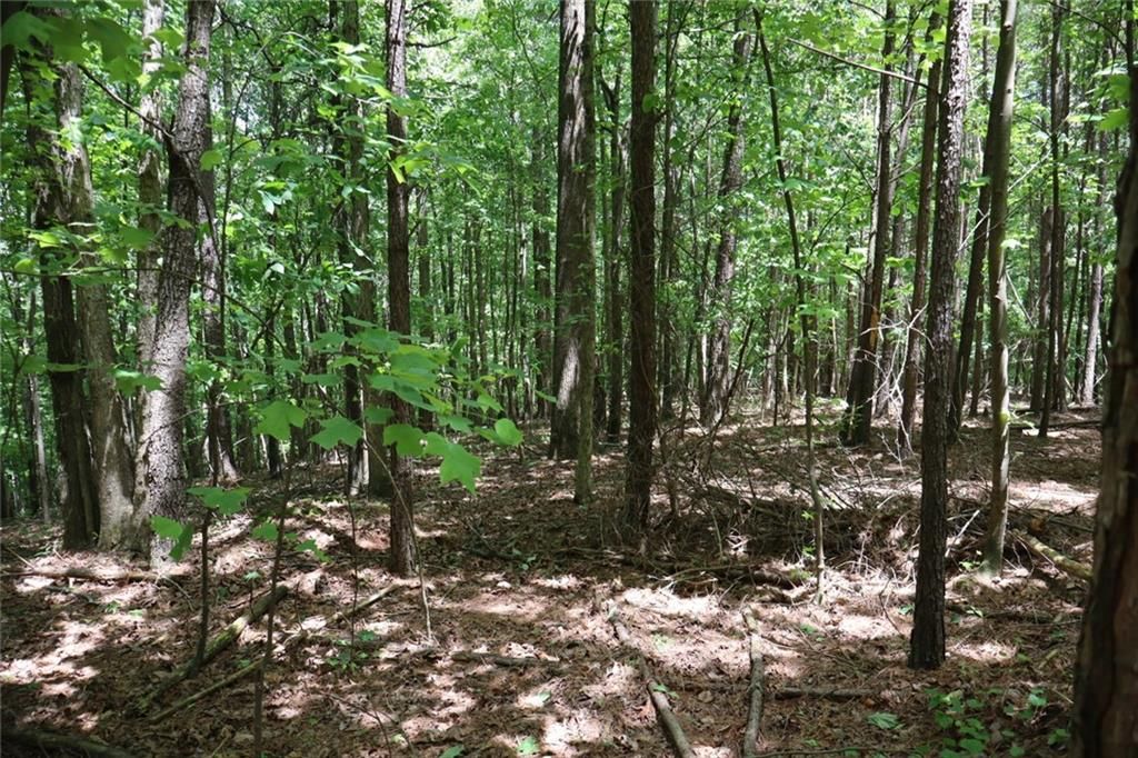 Photo of 0 Parksbrook Road A, Ellijay, GA 30540 (MLS # 7727634)