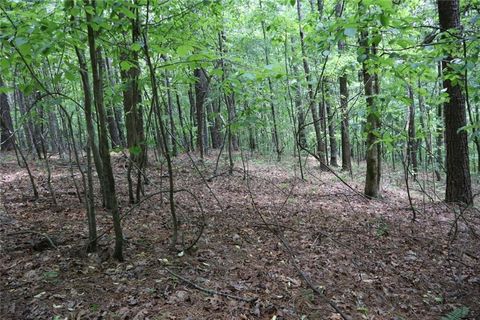 Vacant Land For Sale - Parksbrook Road A<br/> Ellijay, GA 30540
