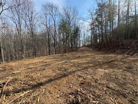 Vacant Land For Sale - 1450 Hanna Drive<br/> Gordon County, Ranger, GA 30734