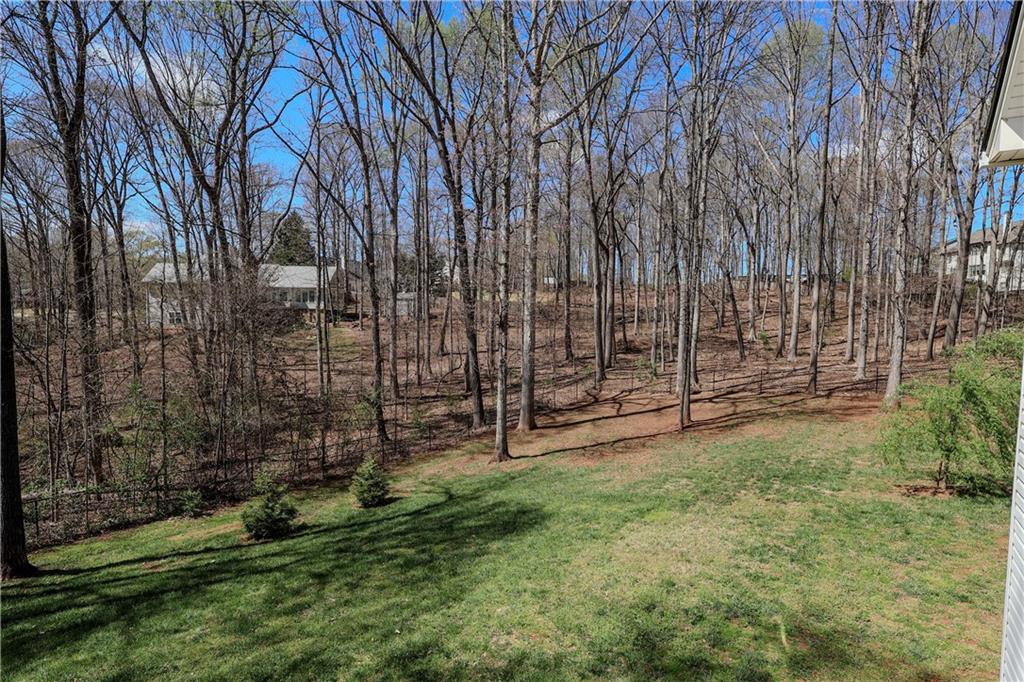 39 Miners Way, Braselton, Georgia image 18