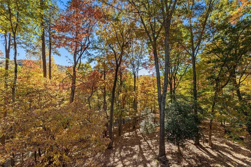 Big Canoe - Residential