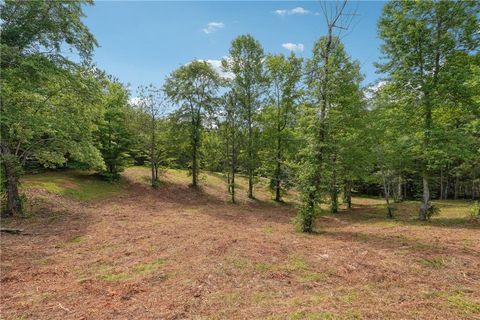 Single Family Residence in Jasper GA 161 Mountain Laurel Drive 30.jpg