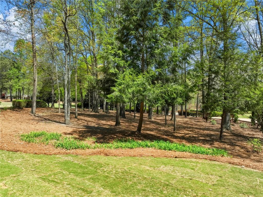 5757 Gene Sarazen Drive, Braselton, Georgia image 41