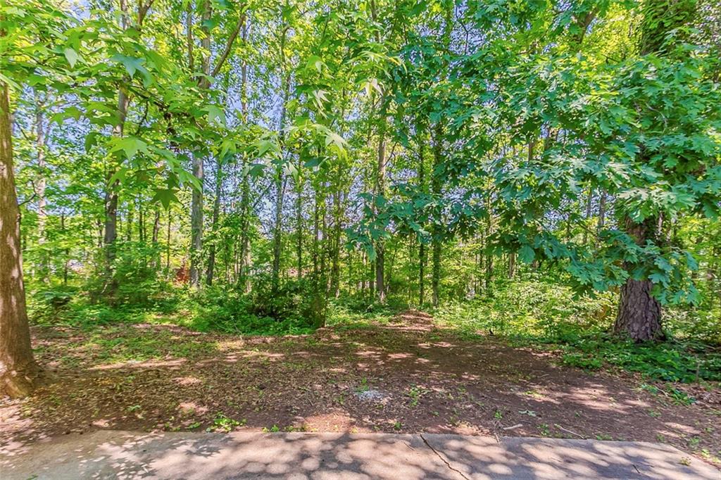 1074 Cherokee Heights, Stone Mountain, Georgia image 41
