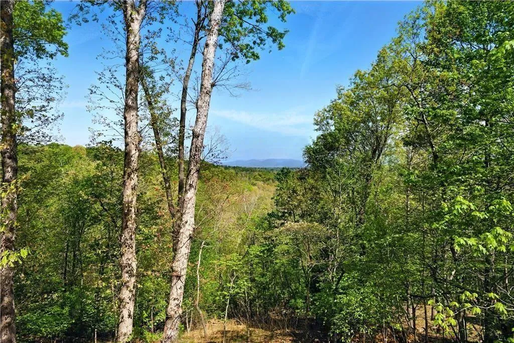 Ellijay, Georgia 30540, United States, 3 Bedrooms Bedrooms, ,2 BathroomsBathrooms,Residential,Active,115221