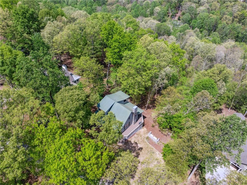 175 Morningside Court, Ellijay, Georgia image 49