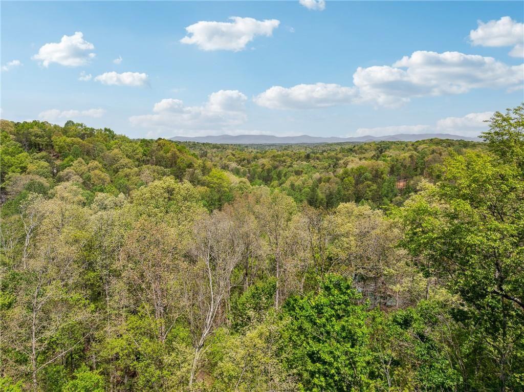 175 Morningside Court, Ellijay, Georgia image 36