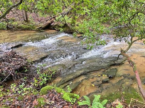 Vacant Land For Sale - 2243 Damascus Road<br/> Ball Ground, GA 30107