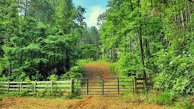 2243 Damascus Road, Ball Ground, Georgia image 16