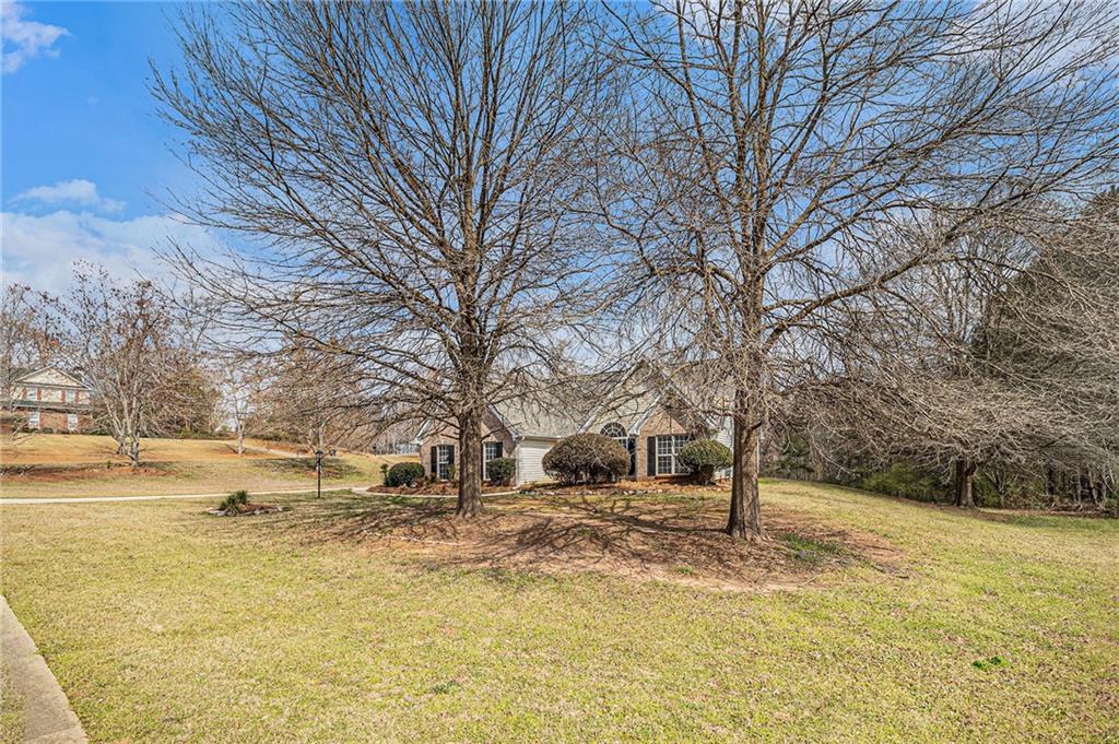 109 Melrose Creek Drive, Stockbridge, Georgia image 2