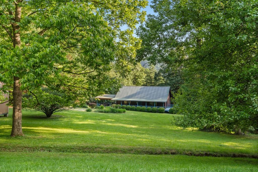 52 Blueberry Lane