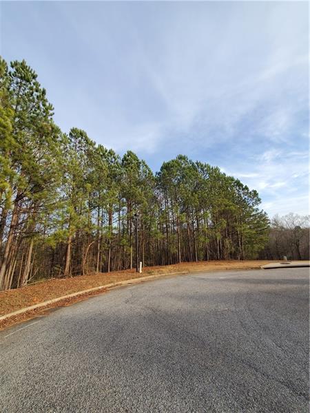 7731 Windswept Way