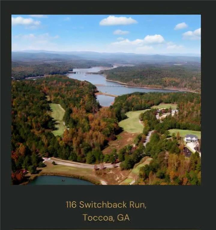116 Switchback Run