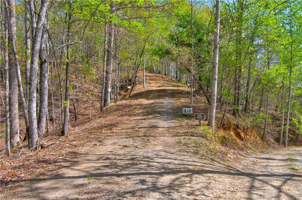 TRACT1 Panorama Drive, Dahlonega, Georgia image 7