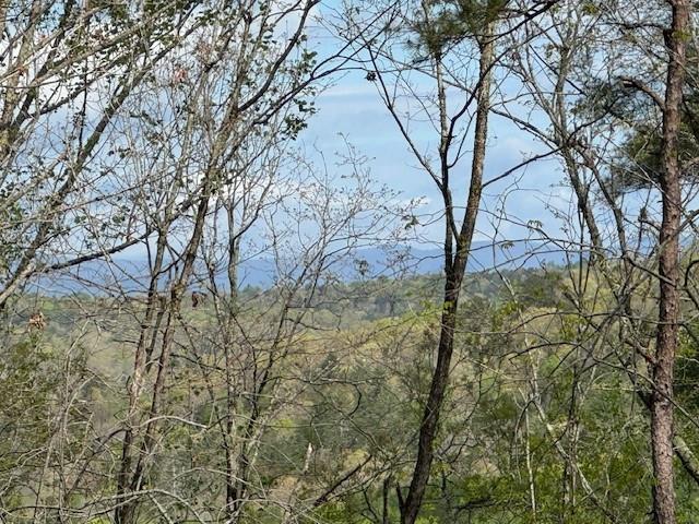TRACT1 Panorama Drive, Dahlonega, Georgia image 4