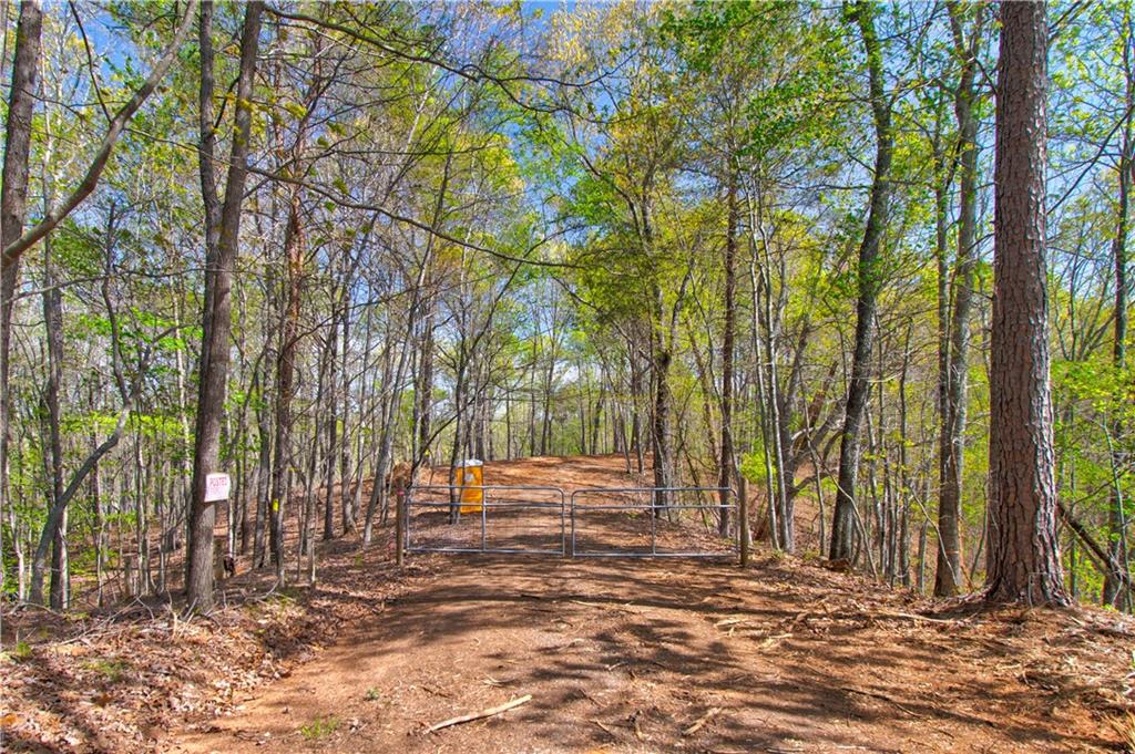 TRACT1 Panorama Drive, Dahlonega, Georgia image 8