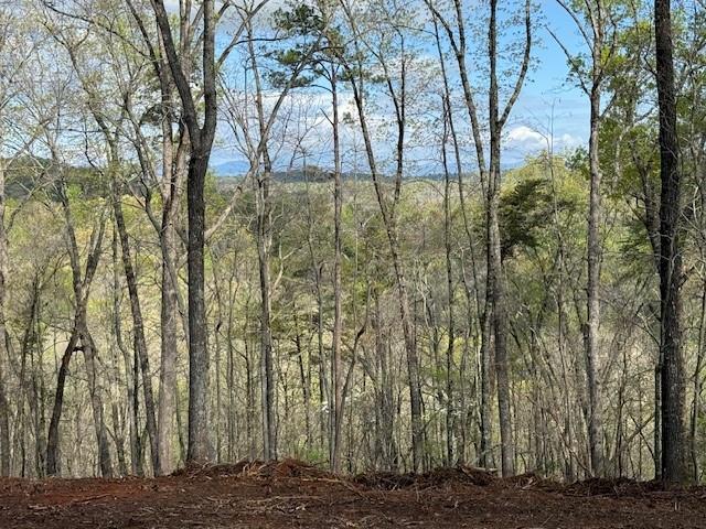 TRACT1 Panorama Drive, Dahlonega, Georgia image 2