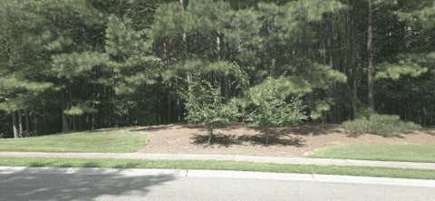 Featured picture for the property 7614939