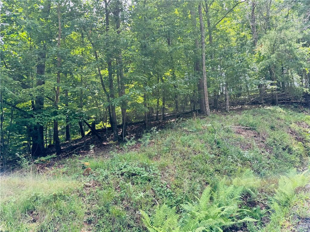 LOT 7 Stirratt Road