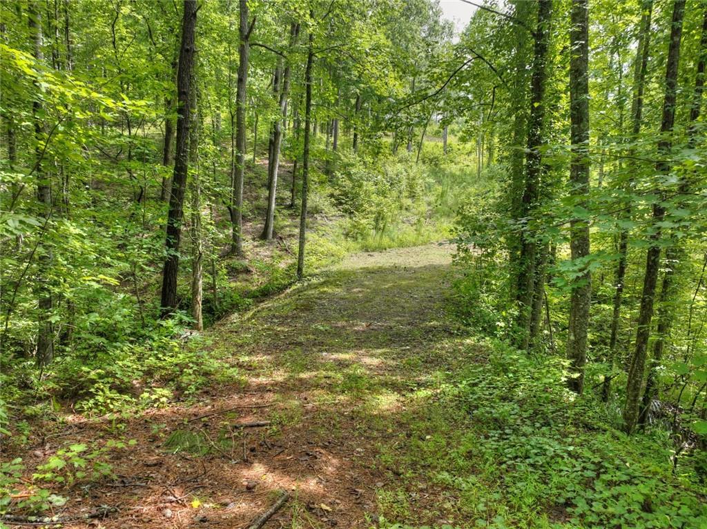 Lt 127 Hawk Trail, Ellijay, Georgia image 16