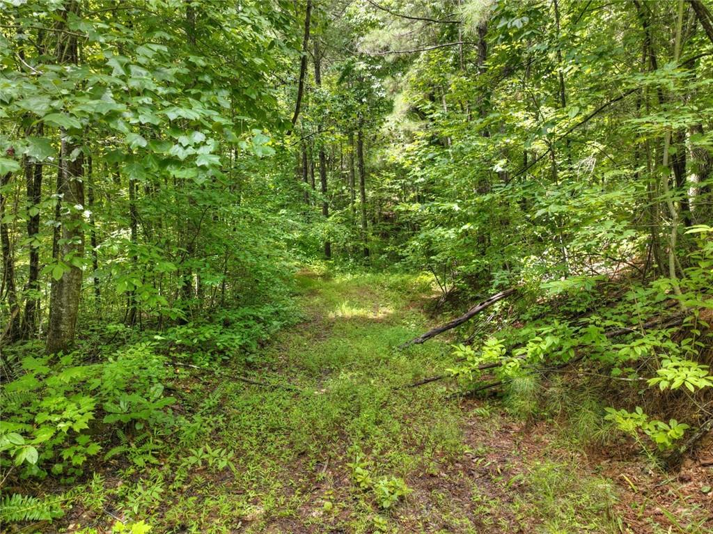 Lt 127 Hawk Trail, Ellijay, Georgia image 18