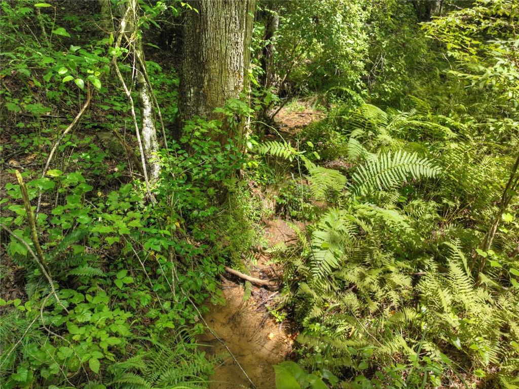 Lt 127 Hawk Trail, Ellijay, Georgia image 5