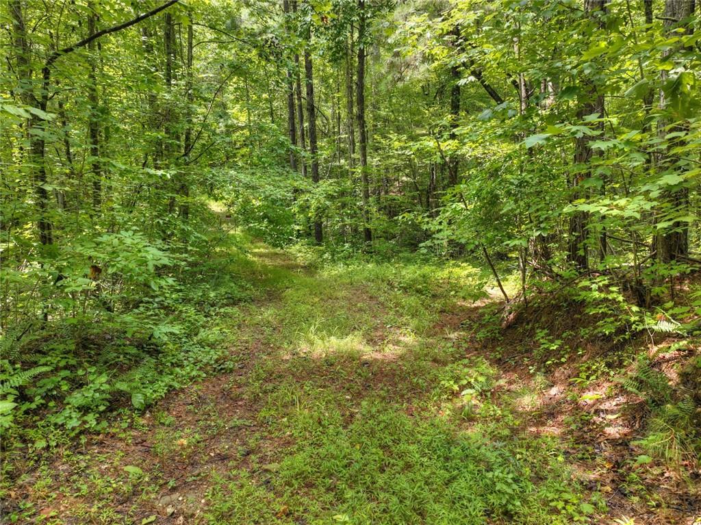 Lt 127 Hawk Trail, Ellijay, Georgia image 20