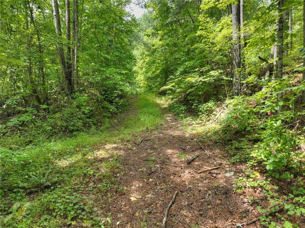 Lt 127 Hawk Trail, Ellijay, Georgia image 7