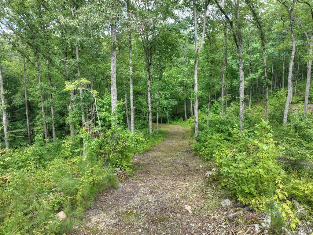 Lt 127 Hawk Trail, Ellijay, Georgia image 15