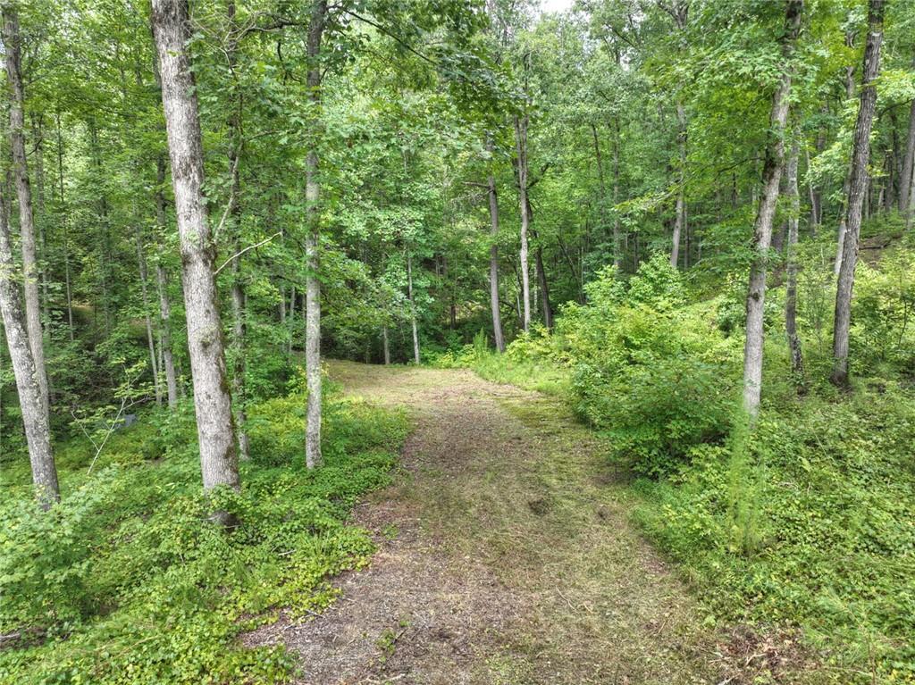 Lt 127 Hawk Trail, Ellijay, Georgia image 19