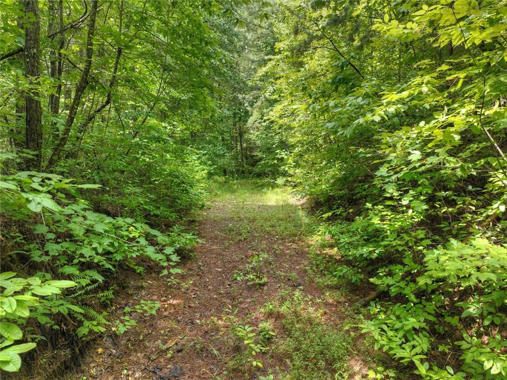 Lt 127 Hawk Trail, Ellijay, Georgia image 17