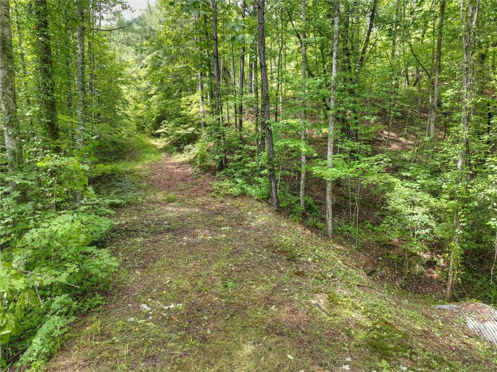 Lt 127 Hawk Trail, Ellijay, Georgia image 6