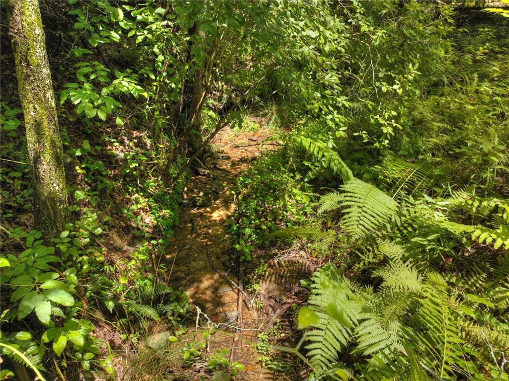 Lt 127 Hawk Trail, Ellijay, Georgia image 10