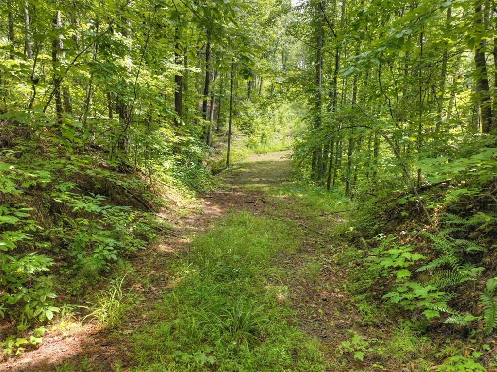 Lt 127 Hawk Trail, Ellijay, Georgia image 21