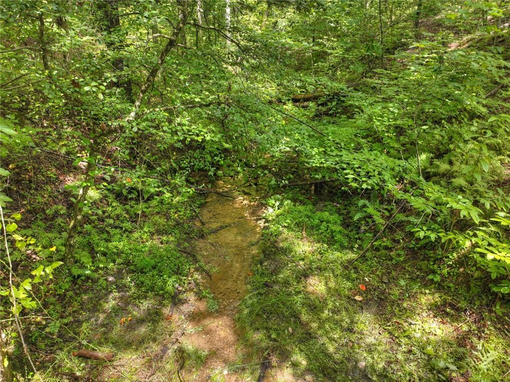 Lt 127 Hawk Trail, Ellijay, Georgia image 8