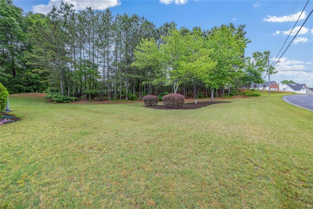 7224 Coral Lake Drive, Flowery Branch, Georgia image 34