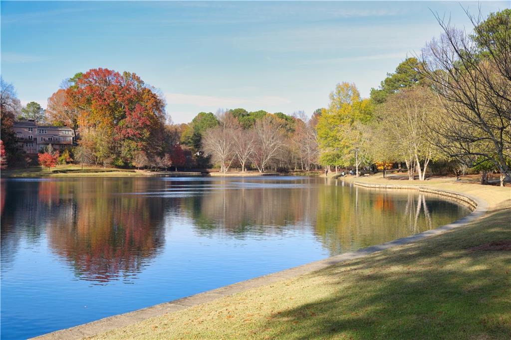 125 Starboard Point, Roswell, Georgia image 44