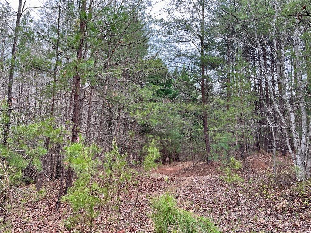 00 Mountain Ridge Drive, Dahlonega, Georgia image 6