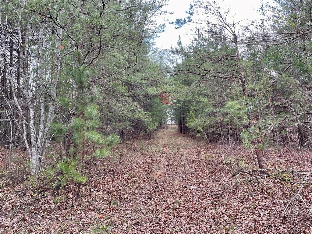 00 Mountain Ridge Drive, Dahlonega, Georgia image 7