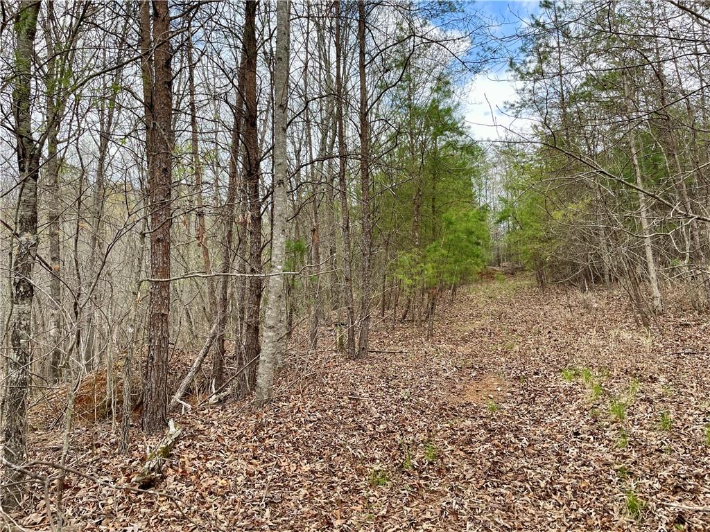 00 Mountain Ridge Drive, Dahlonega, Georgia image 13