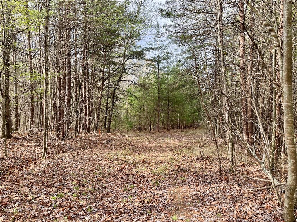 00 Mountain Ridge Drive, Dahlonega, Georgia image 4