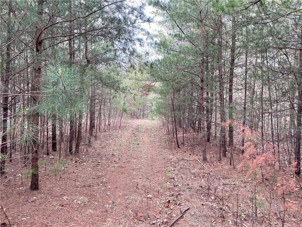 00 Mountain Ridge Drive, Dahlonega, Georgia image 5