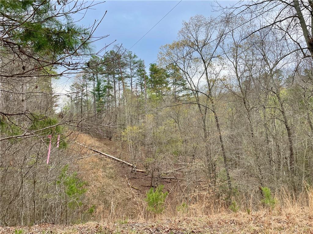 00 Mountain Ridge Drive, Dahlonega, Georgia image 11