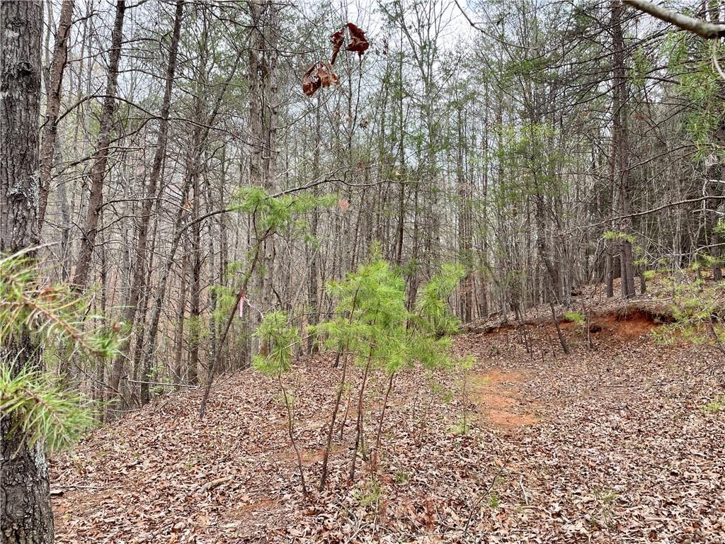 00 Mountain Ridge Drive, Dahlonega, Georgia image 10