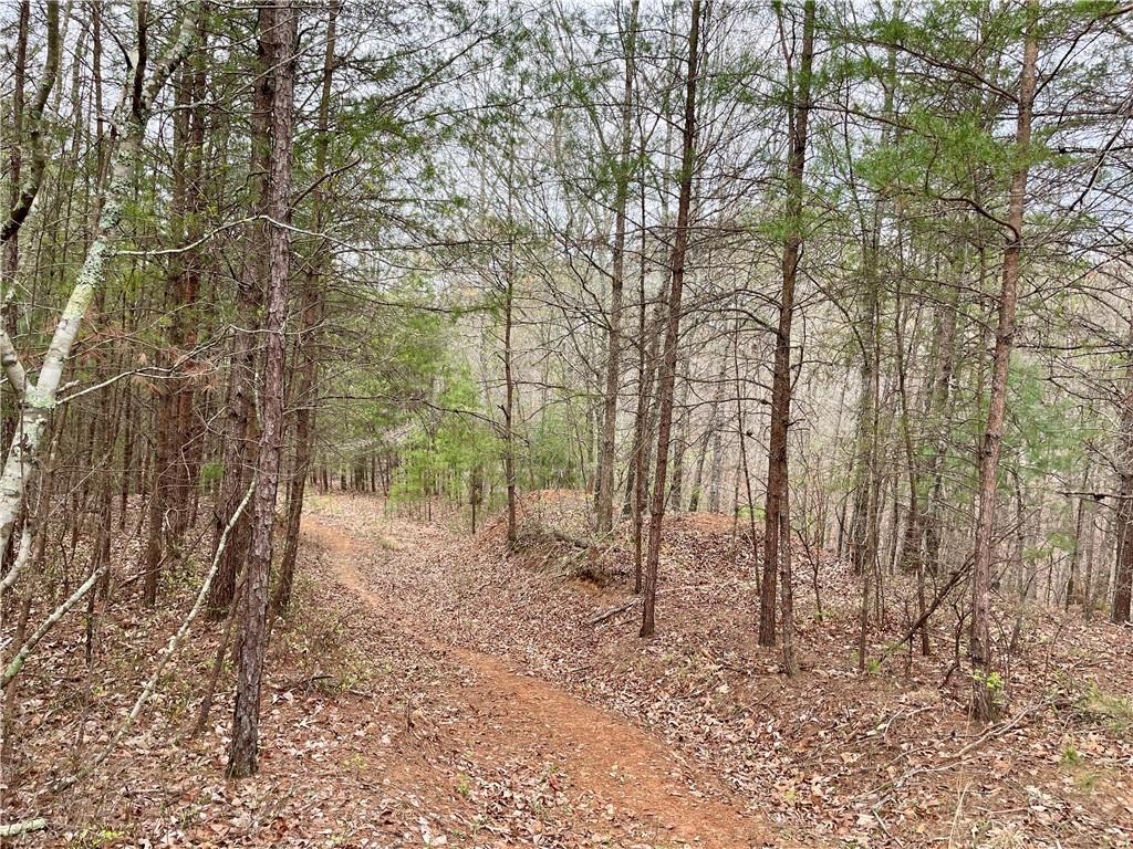 00 Mountain Ridge Drive, Dahlonega, Georgia image 8