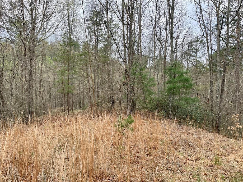 00 Mountain Ridge Drive, Dahlonega, Georgia image 12