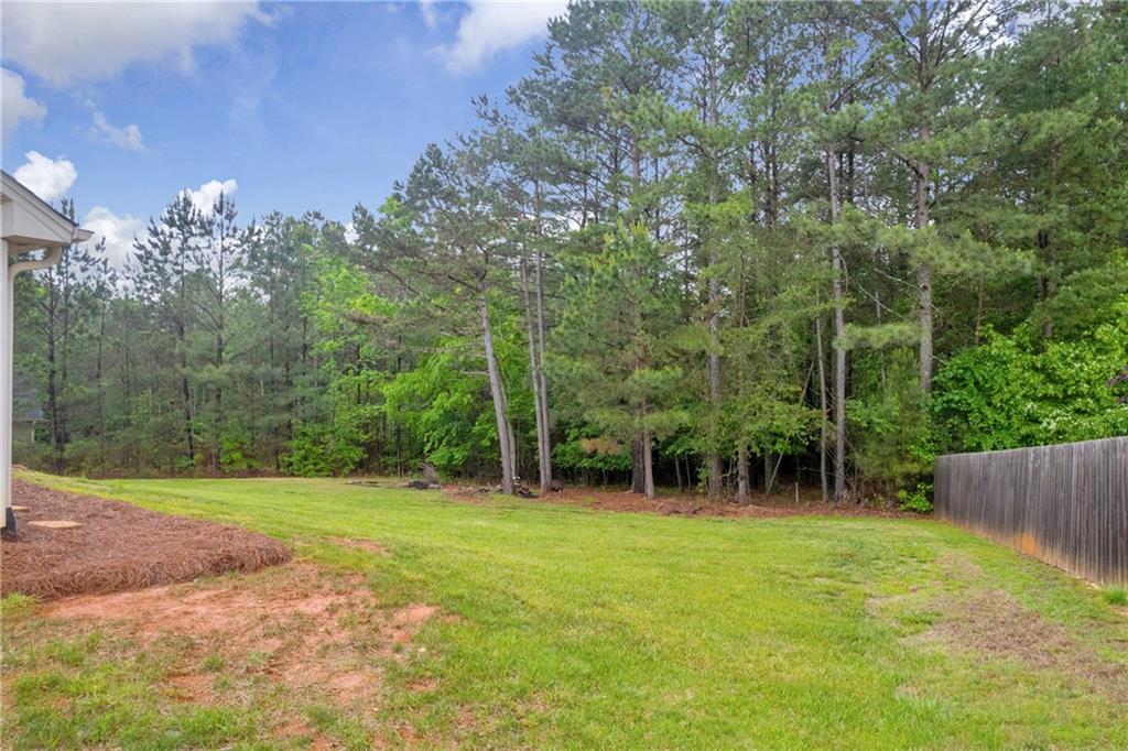 220 Makers Way, Dawsonville, Georgia image 10