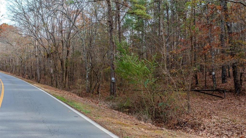 Doyle Road, Lindale, Georgia image 8