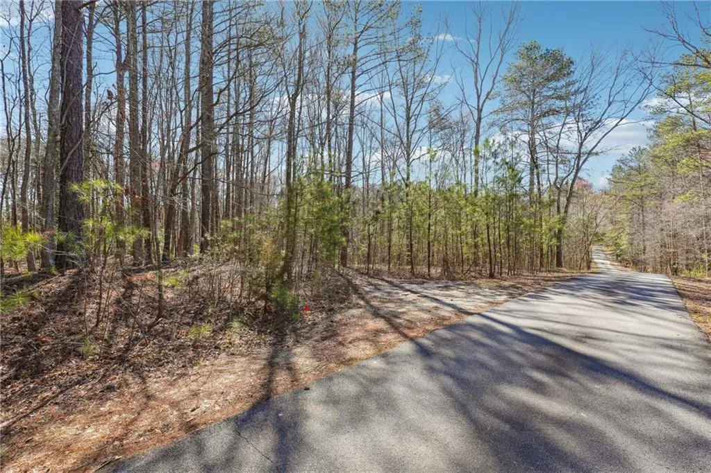 Powder Springs, Georgia 30127, United States, ,Land,Active,94829